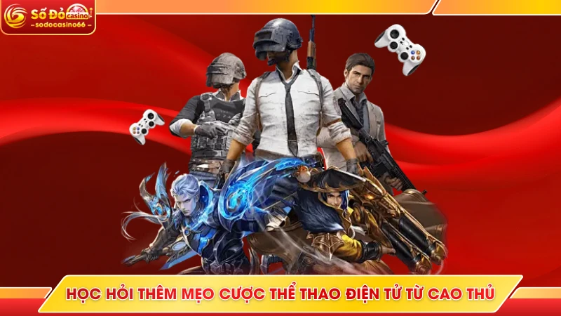 Esports SODO Casino - Hàng Loạt Kèo Cực Căng, Thưởng Lớn 7 Học hỏi thêm mẹo cược thể thao điện tử từ cao thủ