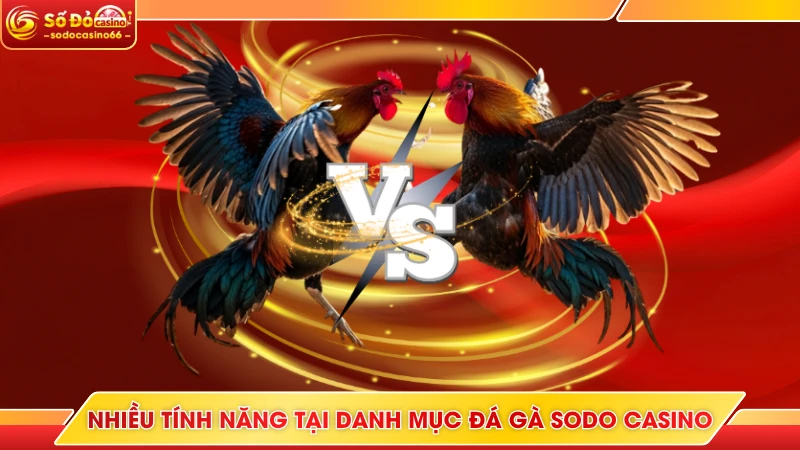 Đá Gà SODO Casino - Live Bet Với Hàng Trăm Trận Đấu Hot 5 Nhiều tính năng tại danh mục đá gà SODO casino