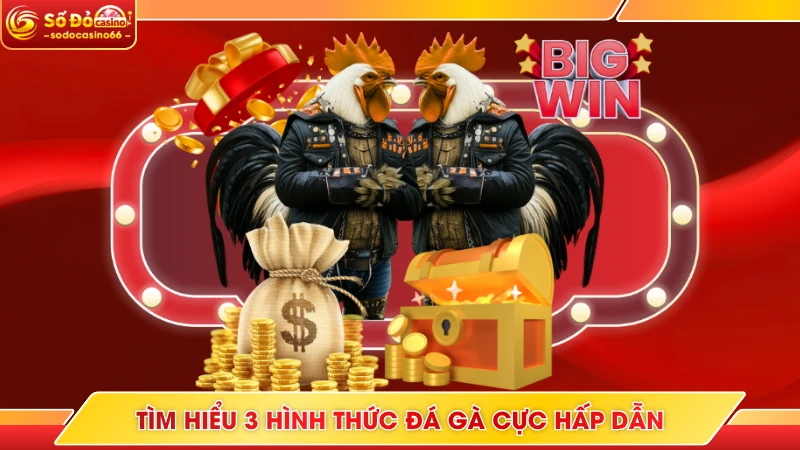 Đá Gà SODO Casino - Live Bet Với Hàng Trăm Trận Đấu Hot 6 Tìm hiểu 3 hình thức đá gà cực hấp dẫn