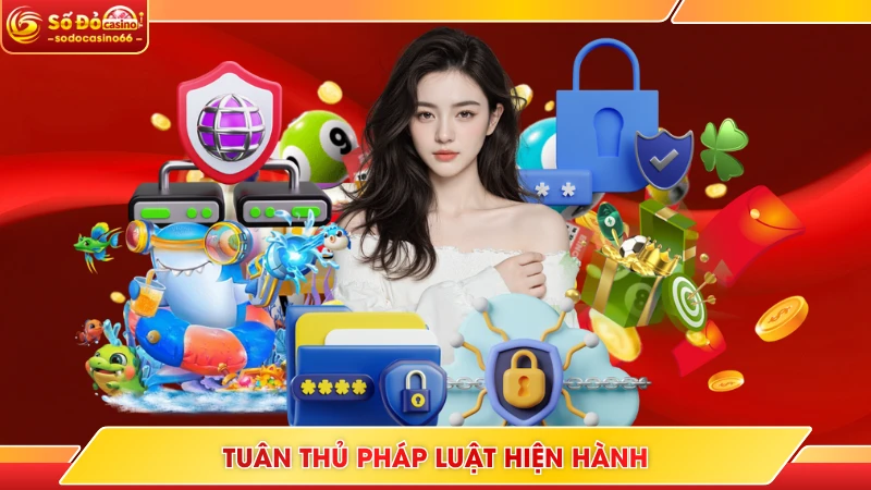 Quyền Riêng Tư SODO Casino - Bảo Vệ Thông Tin Người Dùng 6 Tuân thủ pháp luật hiện hành