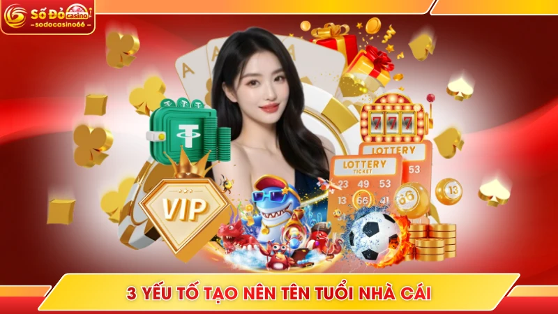 DT68 - Nhà Cái Uy Tín Với Hơn Chục Năm Làm Nghề Tại Châu Á 6 3 yếu tố tạo nên tên tuổi nhà cái