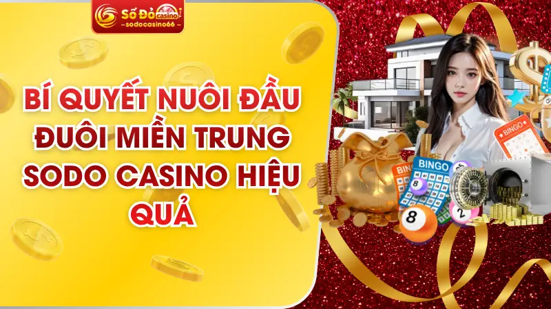 Bí Quyết Nuôi Đầu Đuôi Miền Trung SODO Casino Hiệu Quả 10 Bí Quyết Nuôi Đầu Đuôi Miền Trung SODO Casino Hiệu Quả