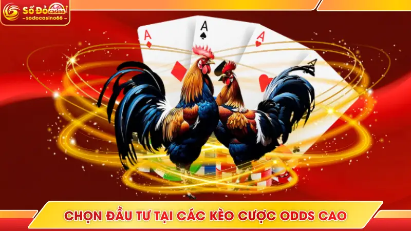 Đá Gà SODO Casino - Live Bet Với Hàng Trăm Trận Đấu Hot 7 Chọn đầu tư tại các kèo cược odds cao